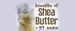 SHEA BUTTER BENEFITS AND USES